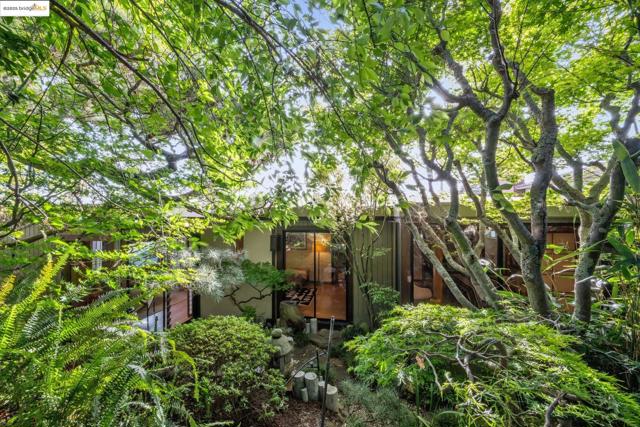 7046 Cutting Blvd, El Cerrito CA: https://media.crmls.org/mediaz/93eb5757-5438-4899-be8b-e42904590e79.jpg