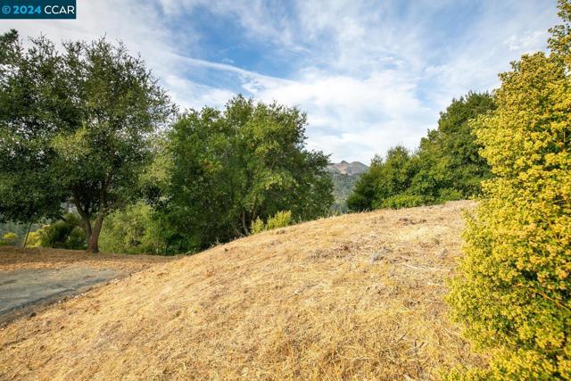 3.94 acres in Orinda