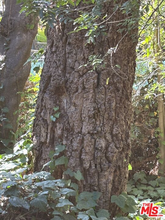 Drew Fenton | 643 Hightree Road Santa Monica CA | MLS: 7522748 Drew Fenton | 643 Hightree Road Santa Monica CA | MLS: 7522748