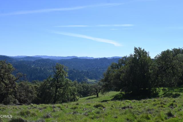 Detail Gallery Image 30 of 59 For 24051 Fig Tree Ln, Yorkville,  CA 95494 - – Beds | – Baths