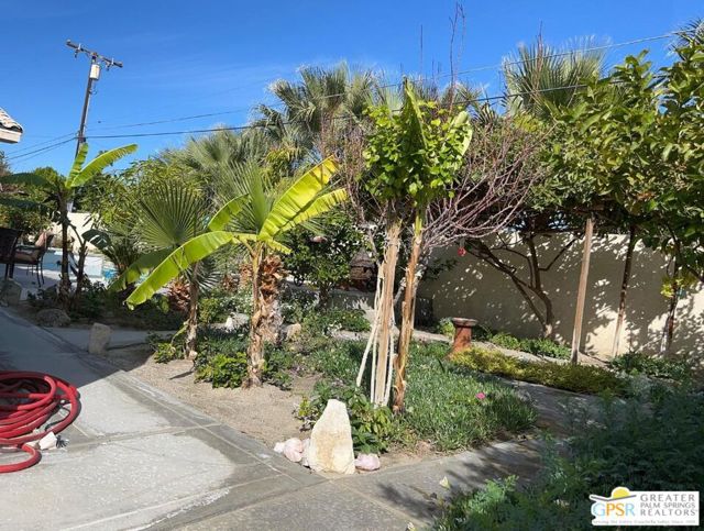 3116 E Via Escuela, Palm Springs CA: https://media.crmls.org/mediaz/93fd235e-b5a6-4edd-982c-6bc91e657297.jpg