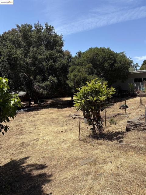 5415 Leona Street, Oakland CA: https://media.crmls.org/mediaz/94029558-b8bd-4767-8092-7e02959da62a.jpg