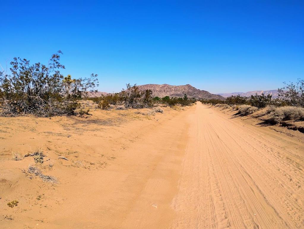 MLS #219138097DA image #1