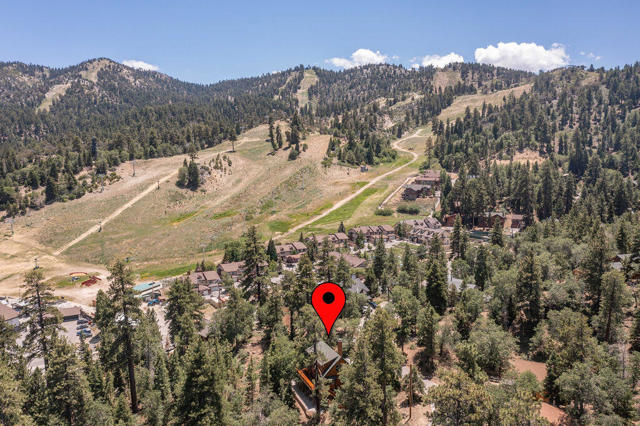 1307 Pigeon Road, Big Bear CA: https://media.crmls.org/mediaz/94093c9c-4e61-40d5-bb82-a3b6e9785095.jpg