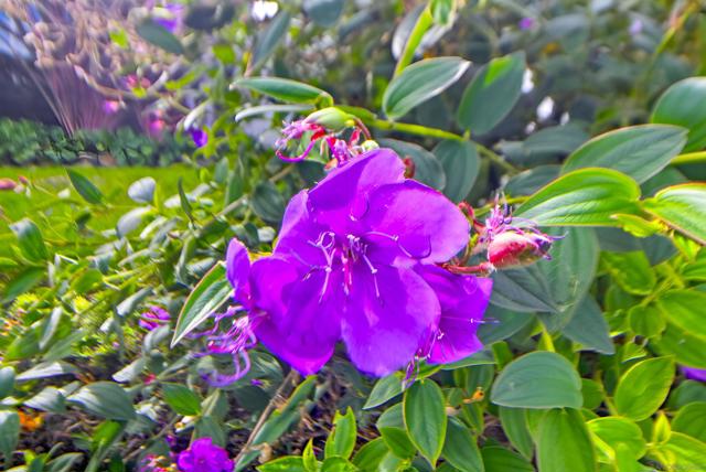 3039 Dumas Street, San Diego CA: https://media.crmls.org/mediaz/9409c695-18db-42af-be98-d68a2f16227b.jpg