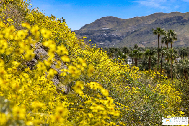 Image 48 of 53 For 252 Ridge Road