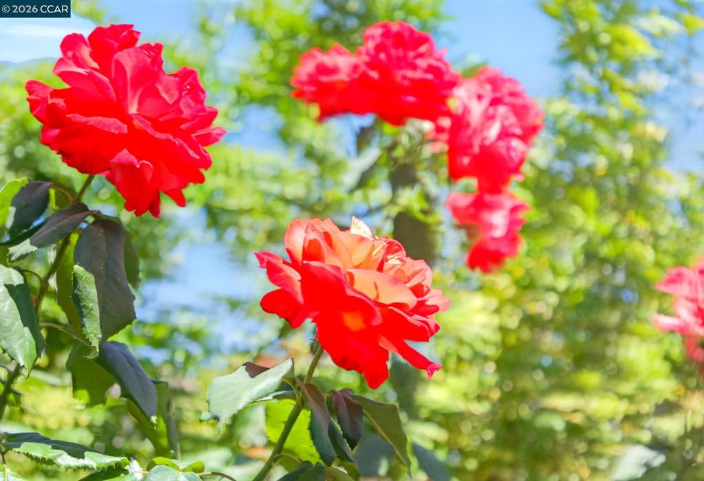 https://media.crmls.org/mediaz/9412906b-b9d1-4c06-acf8-1b6b852d595e.jpg?preset=X-Large