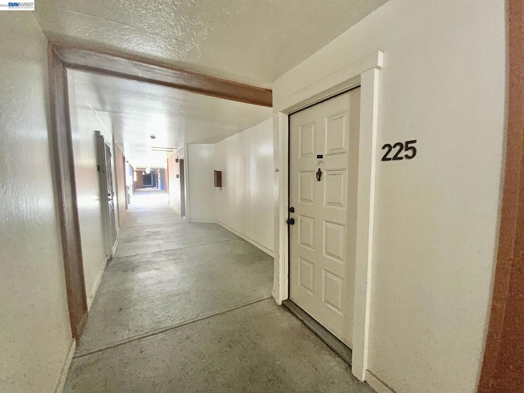 47112 Warm Springs Blvd #225