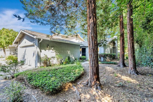 5022 Treaty Court, San Jose CA: https://media.crmls.org/mediaz/9417768d-3f81-4835-aa6b-63a14a6d9296.jpg