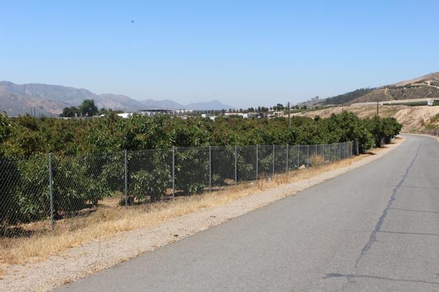 Detail Gallery Image 12 of 33 For 0 Camulos St, Piru,  CA 93040 - – Beds | – Baths