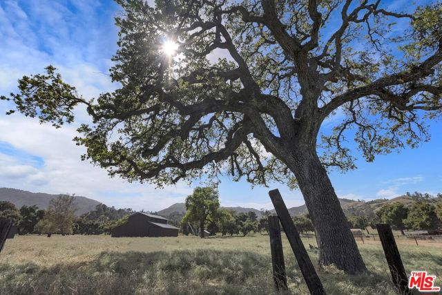 770 Limekiln Road, Hollister CA: https://media.crmls.org/mediaz/94234d78-ca70-4c62-9124-be4179197a64.jpg