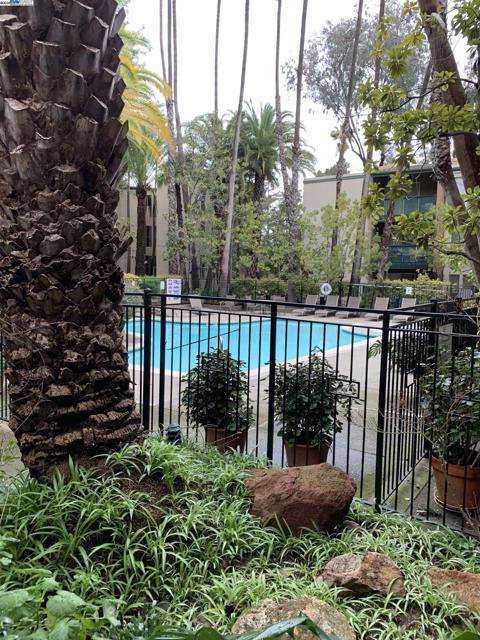 185 Sierra Dr, Walnut Creek CA: https://media.crmls.org/mediaz/9428666f-4e5b-41c2-bcf7-cf61a18e74d3.jpg