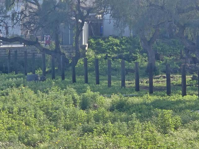 Detail Gallery Image 60 of 65 For 2205 Leon Ave, San Diego,  CA 92154 - 3 Beds | 2 Baths