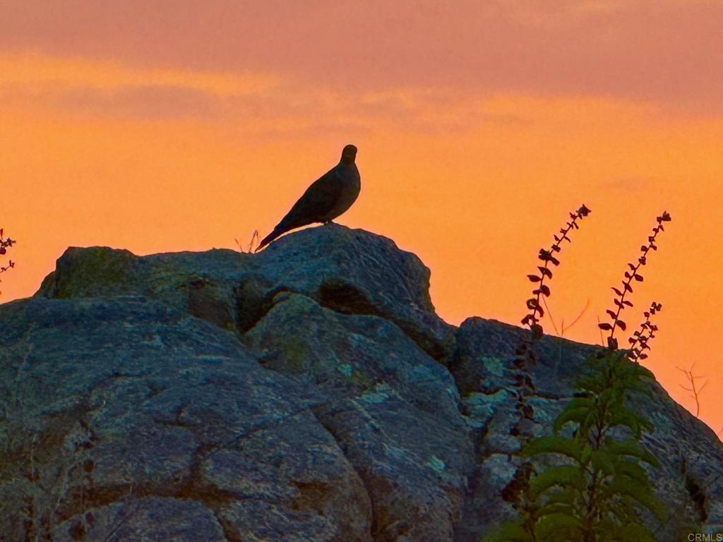 https://media.crmls.org/mediaz/94442fdd-c46a-4d38-a02d-f3d6669548d9.jpg?preset=X-Large