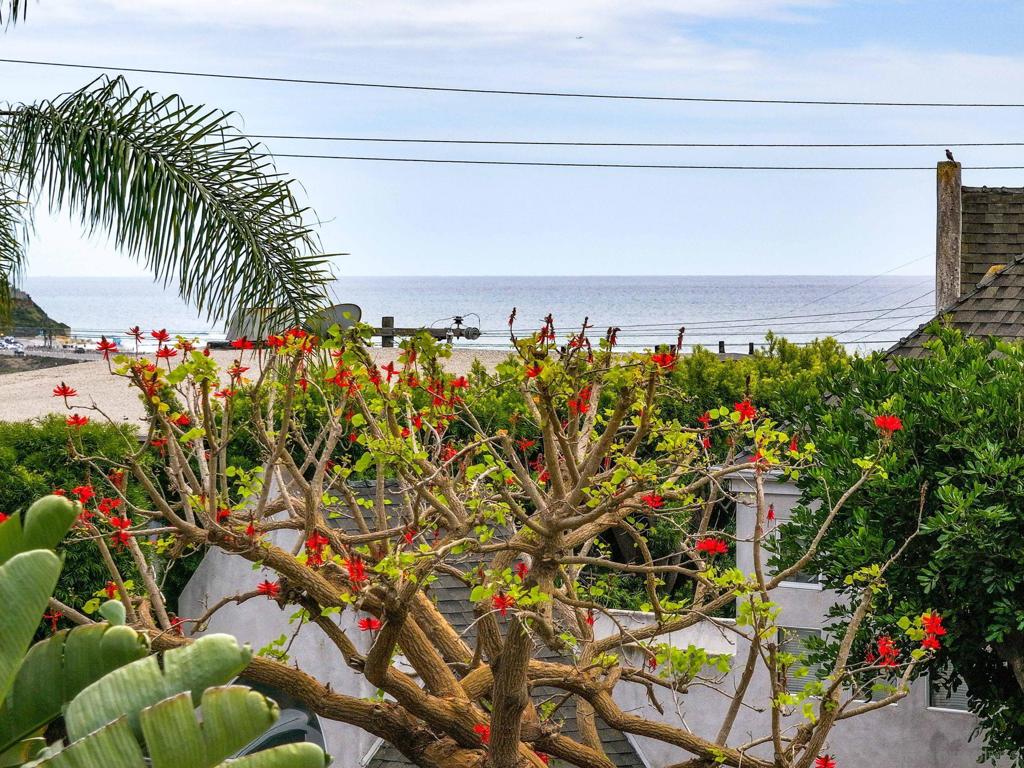 2449 Manchester Ave Cardiff By The Sea - photo 18