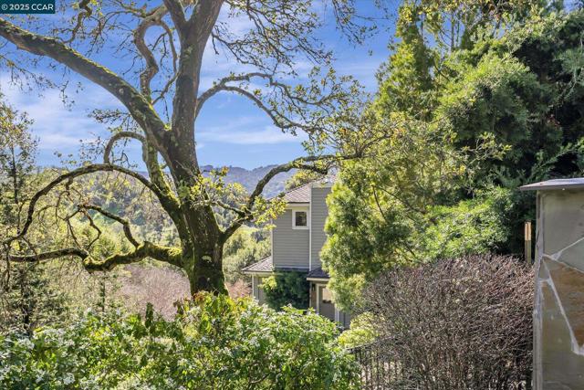 4 Berrybrook Hollow, Orinda CA: https://media.crmls.org/mediaz/9461efeb-26af-4c53-8a17-2db68d43b3ac.jpg