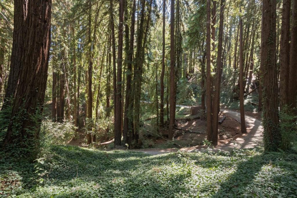 MLS #ML81988191 image #7