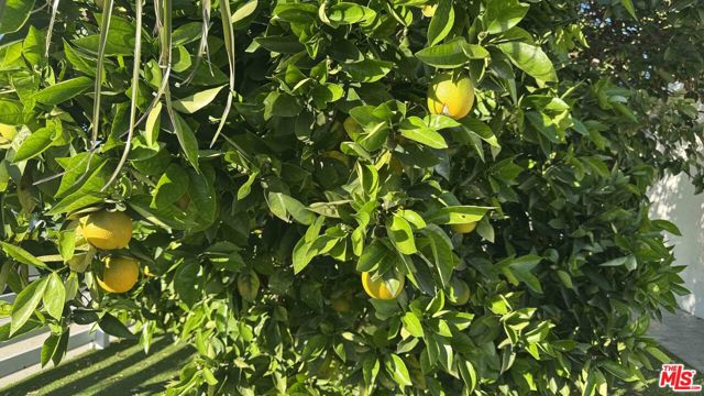 7516 Oakdale Avenue, Winnetka CA: https://media.crmls.org/mediaz/9463d845-f887-4341-8dd9-ae4b04305f72.jpg