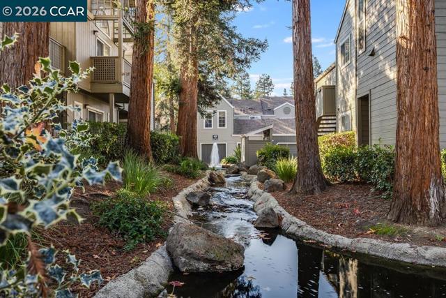 231 Sunspring Ct, Pleasant Hill CA: https://media.crmls.org/mediaz/94767104-fb27-405c-8033-0c67b86fd935.jpg