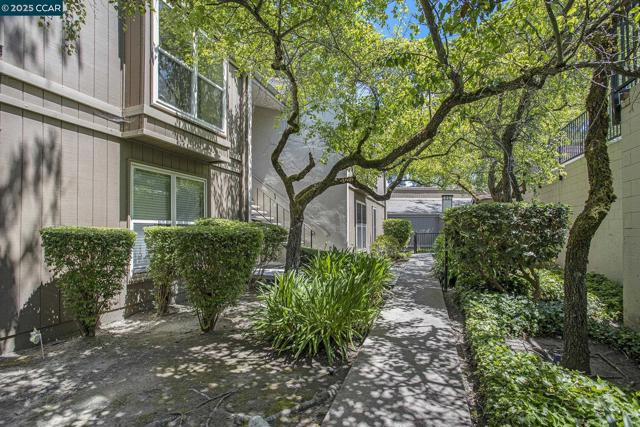 2075 Ascot Dr, Moraga CA: https://media.crmls.org/mediaz/94796f3f-734e-49f6-8388-63e298367320.jpg