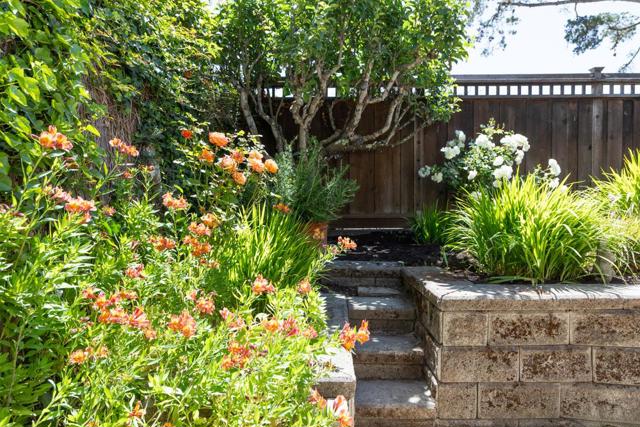 143 Moran Way, Santa Cruz CA: https://media.crmls.org/mediaz/94898f7b-ad3c-4e7b-80e3-7fdd587cd83f.jpg