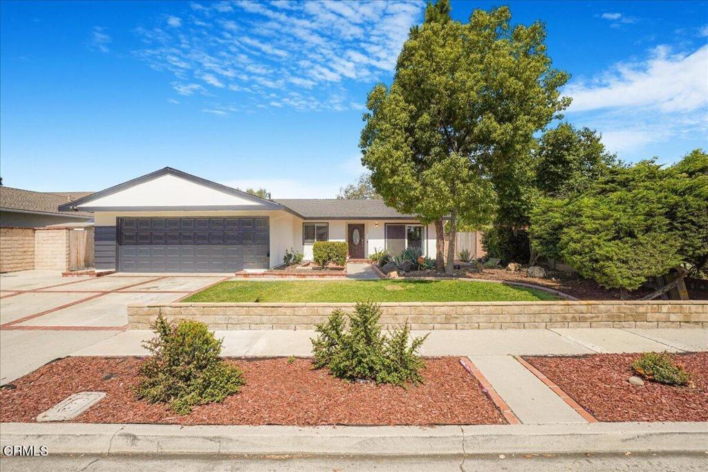 429 Walter Avenue