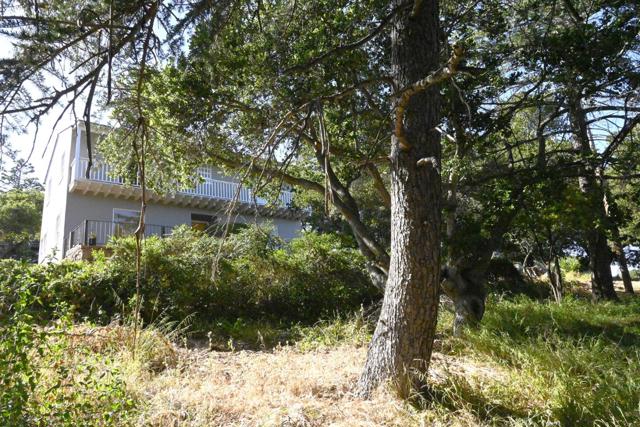 1920 Oak Knoll Drive, Belmont CA: https://media.crmls.org/mediaz/949fbaa3-49f3-4f5f-a48f-dd86006b1d09.jpg