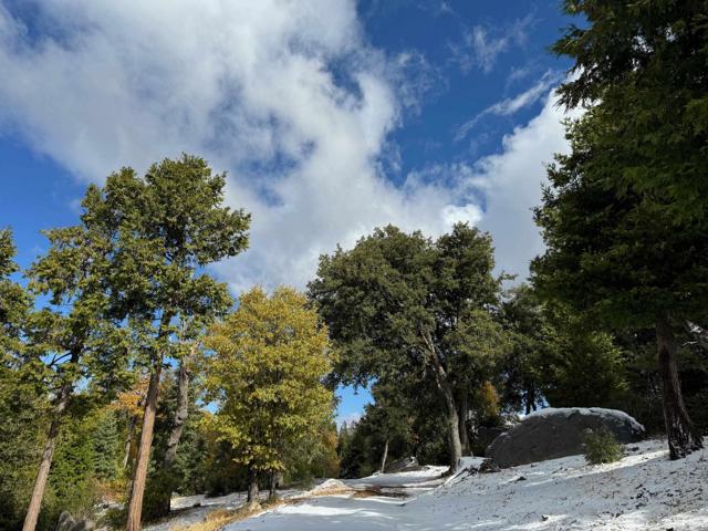 Detail Gallery Image 4 of 47 For 10 Acres Greenfield Way, Palomar Mountain,  CA 92060 - – Beds | – Baths