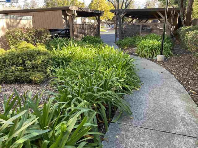 178 Hackamore Cmn, Fremont CA: https://media.crmls.org/mediaz/94b9a204-f480-4827-8c6f-904ce47e7c9e.jpg