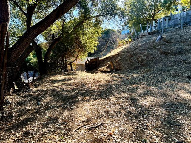 65 Madera Avenue, San Carlos CA: https://media.crmls.org/mediaz/94ba2ac4-24d0-4440-a4d2-299847f6f119.jpg