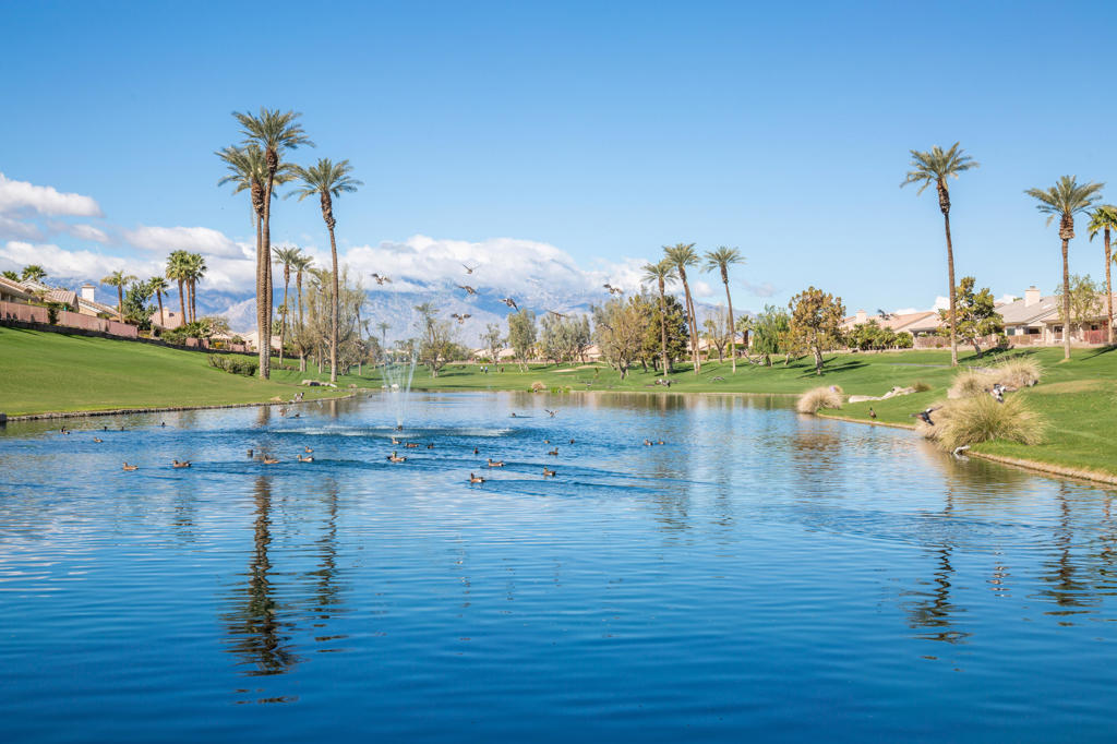 MLS #219135209DA image #35