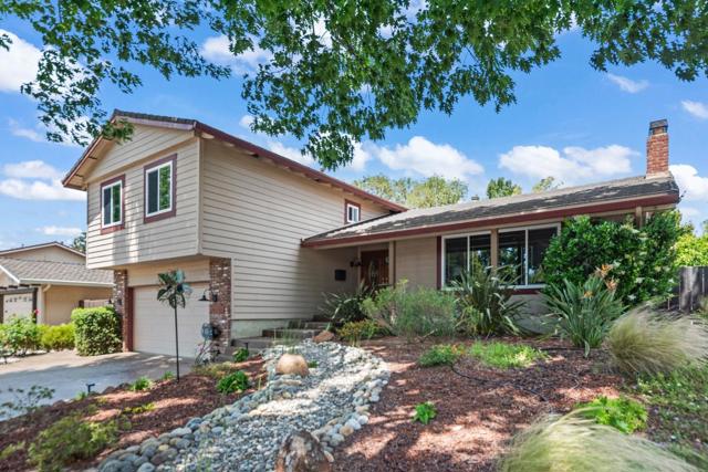 751 Chopin Drive, Sunnyvale CA: https://media.crmls.org/mediaz/94caa316-0378-43fd-96d4-b1acb61c9c64.jpg