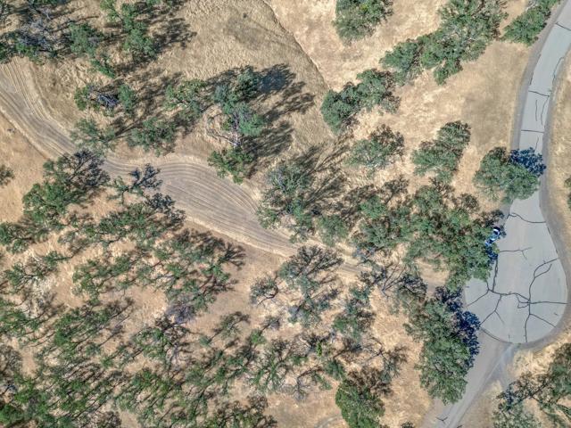 0 Wood Duck Pass Road, Red Bluff CA: https://media.crmls.org/mediaz/94d0c3e8-e83b-48c3-a6f8-683c70b8a28e.jpg