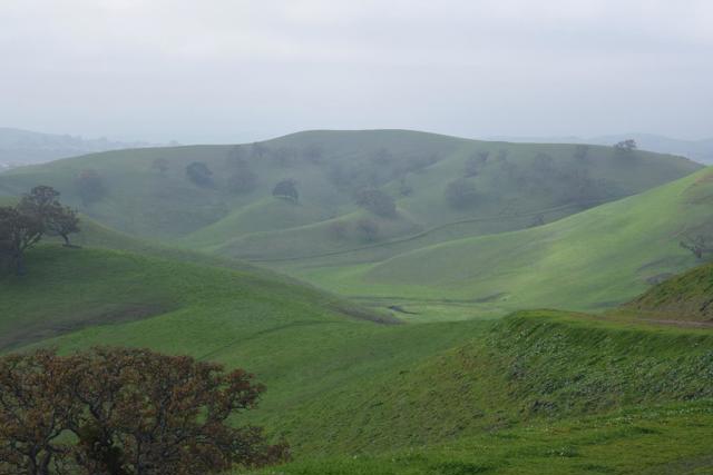 Image 19 of 23 For 1700 Finley Road