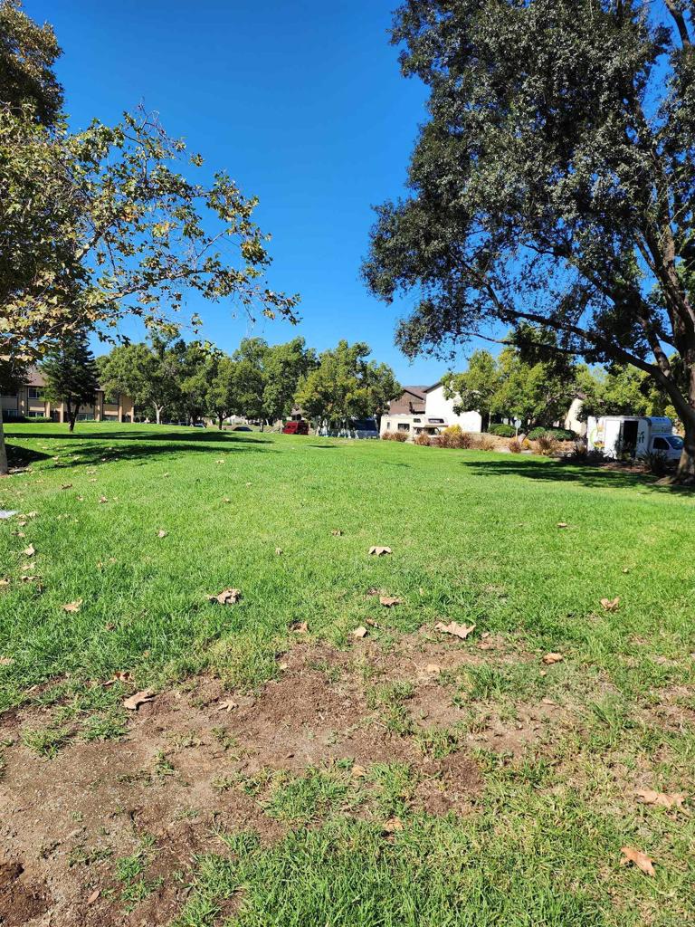 MLS #PTP2508129 image #19