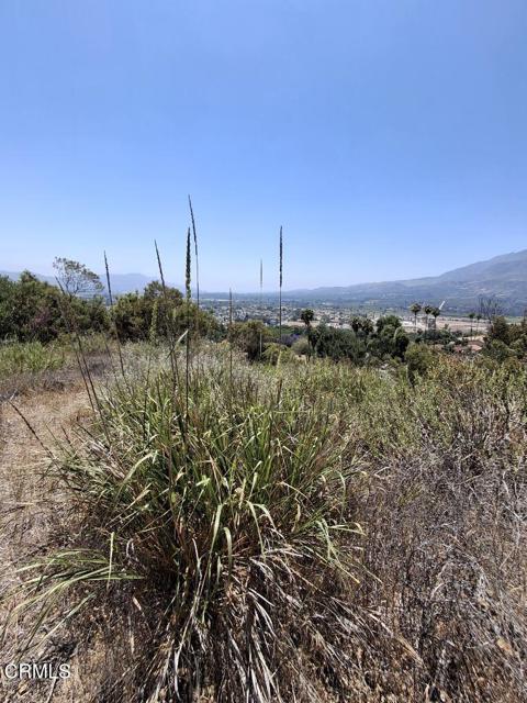 0 Fremlin Drive, Fillmore CA: https://media.crmls.org/mediaz/94e052d8-62b9-46fb-a797-52f6adb8eaf2.jpg