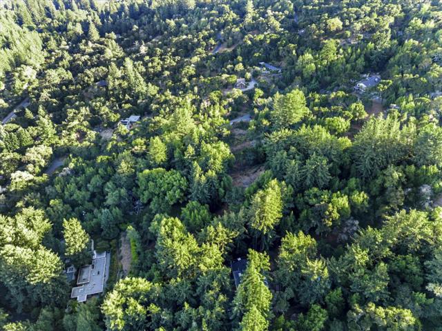 12 Montecito Road, Woodside CA: https://media.crmls.org/mediaz/94e873bc-45e7-4b4b-bd69-7ee957ab045f.jpg