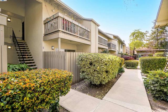 2562 Walnut Blvd, Walnut Creek CA: https://media.crmls.org/mediaz/94f0ccf0-67f3-43d1-b1e6-66f2f99f12fa.jpg
