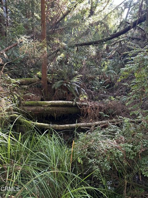 Detail Gallery Image 2 of 7 For 17500 Redwood Springs Dr, Fort Bragg,  CA 95437 - – Beds | – Baths