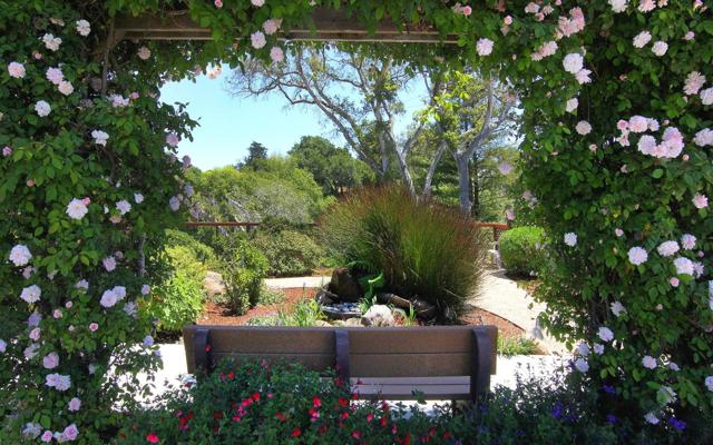 800 Brommer Street, Santa Cruz CA: https://media.crmls.org/mediaz/94f828d4-3e8c-44fd-b64c-b95b953b7d78.jpg