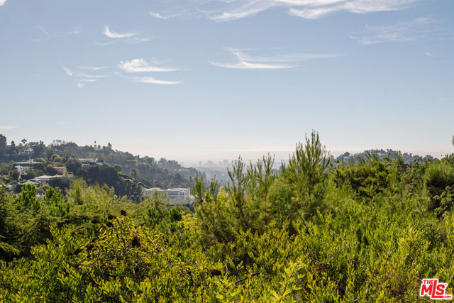 Drew Fenton | 1811 Bel Air Road Los Angeles CA | MLS: 7411913 Drew Fenton | 1811 Bel Air Road Los Angeles CA | MLS: 7411913