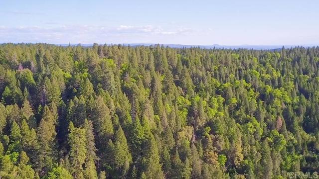 Detail Gallery Image 3 of 23 For 29276 Bullskin Ridge Rd, Oak Run,  CA 96069 - 3 Beds | 2 Baths