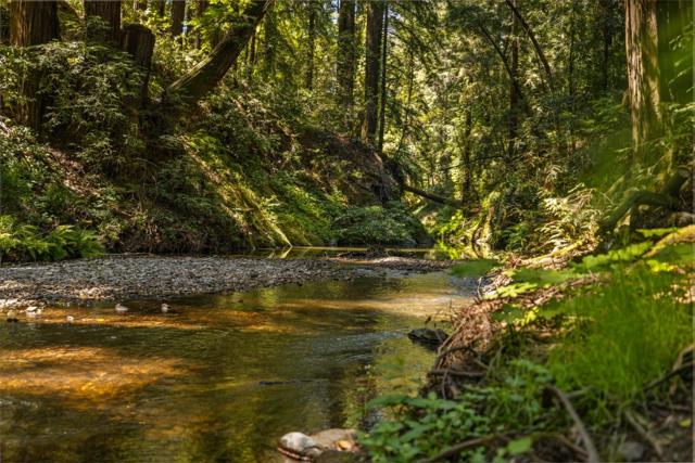 0 Highway 9, Boulder Creek CA: https://media.crmls.org/mediaz/951419eb-998c-4522-9a0f-149ce593aec0.jpg