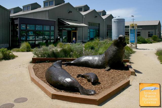 202 Panetta Avenue, Santa Cruz CA: https://media.crmls.org/mediaz/951875e1-1883-44fa-9e8c-d0c24171926c.jpg