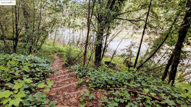 18512 Hwy 116, Guerneville CA: https://media.crmls.org/mediaz/951cb807-d3d1-4320-b5d8-b9f4ec37768d.jpg