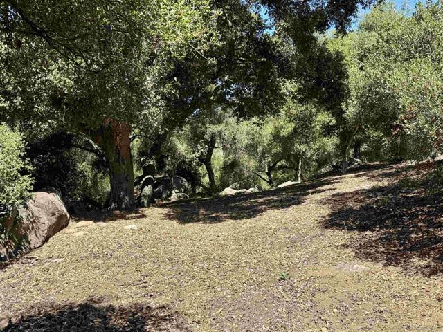 30408 Lennie Dr, Valley Center CA: https://media.crmls.org/mediaz/95217530-e665-4945-8ad8-4dc10e6b99e7.jpg