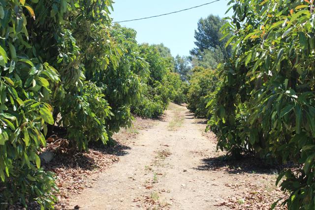 Detail Gallery Image 29 of 33 For 0 Camulos St, Piru,  CA 93040 - – Beds | – Baths