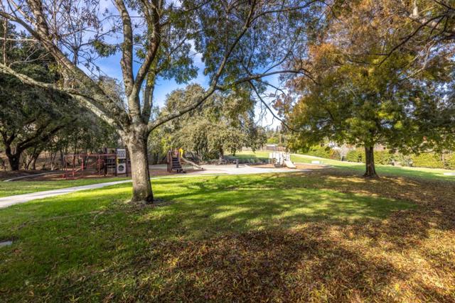 0 Canyon, Redwood City CA: https://media.crmls.org/mediaz/95412a98-bd69-489c-8c9e-4ca35450e8fe.jpg