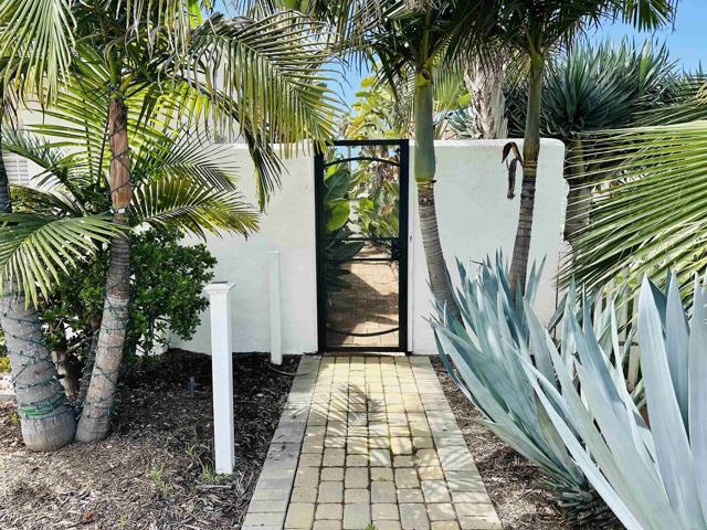 Front Image Thumbnail for CRNDP2603533