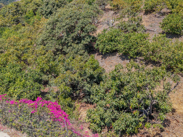 0 View Drive, Santa Paula CA: https://media.crmls.org/mediaz/955438ad-7c24-4f38-aa61-4d548a662af9.jpg